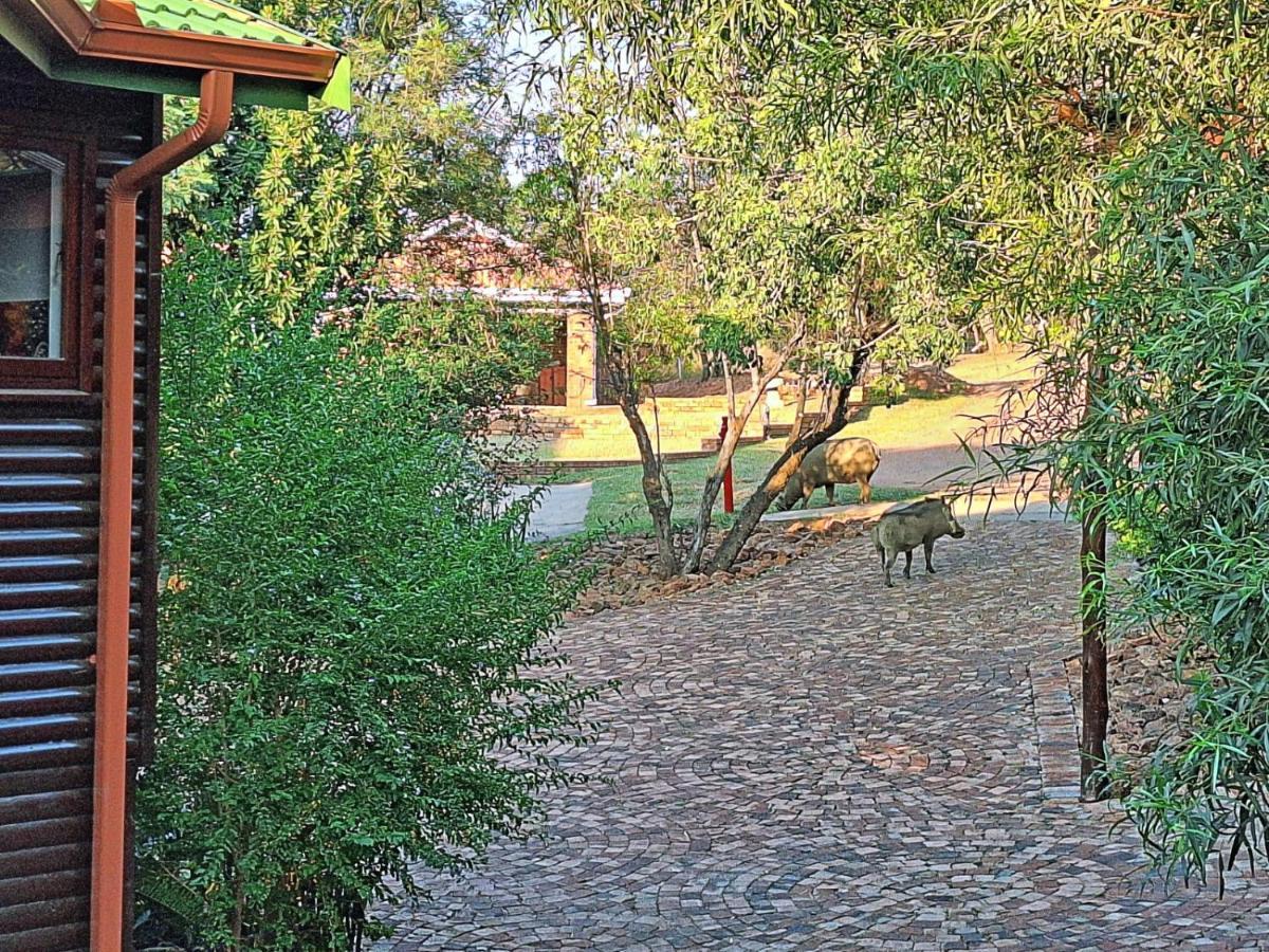 Loskop Serene Bush Cabin Winterkamp Экстерьер фото